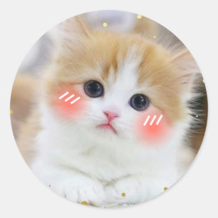 Cute Kawaii Kitten Blush Face Round StickerSticker Classic Round Sticker