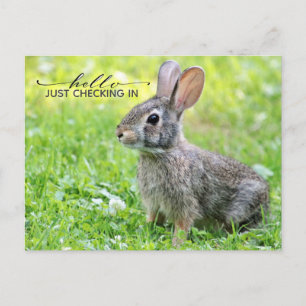 Cute Keeping Connected Postcard