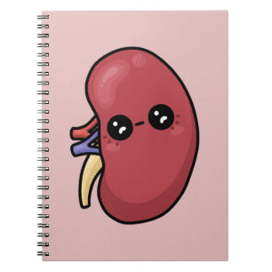 Cute Kidney - Human Biology Notebook