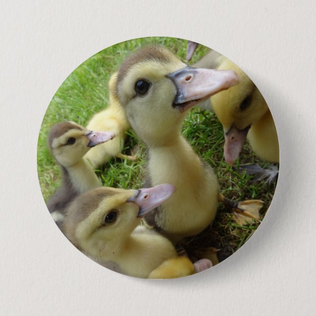 Cute Kids Ducklings Baby Ducks Spring Farm Animals 3 Inch Round Button (Front)