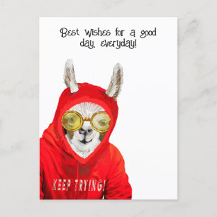 Cute, Kind, Fun Mama Llama, Keep Trying  Greeting Postcard