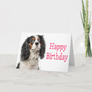 Cute King Charles Cavalier Dog Birthday Card