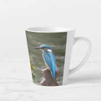 Cute Kingfish Latte Mug