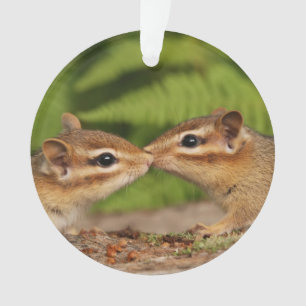 Cute Kissing Baby Chipmunks Ornament