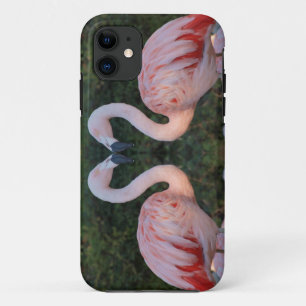 Cute Kissing Flamingo Photography iPhone 11 Case