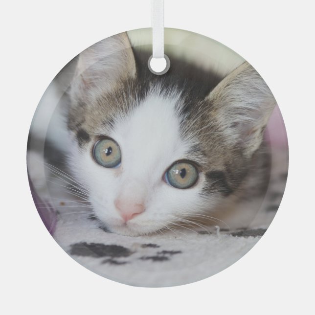 Cute Kitten 1 Photo Circle Glass Ornament (Front)