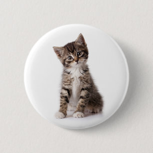cute kitten 2 inch round button