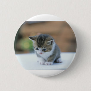 Cute Kitten 2 Inch Round Button