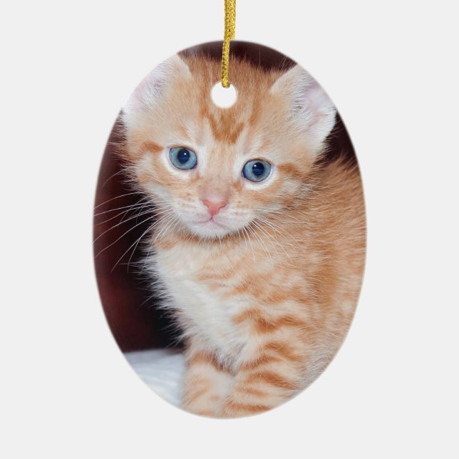 Cute Kitten 2 Photo Vertical Oval Ceramic Ornament (Front)