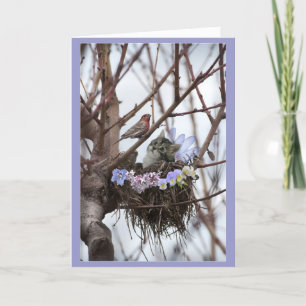 Cute kitten and bird nest Easter or Spring Holiday Card
