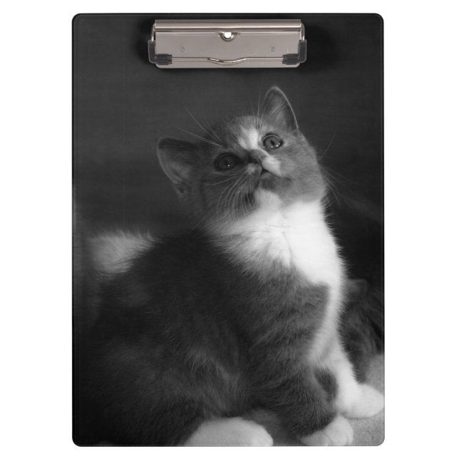 Cute Kitten Black and White Portrait Photograph Clipboard (Front)