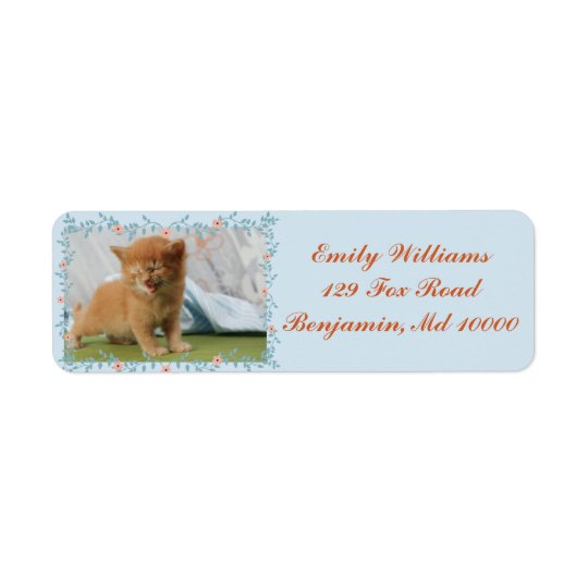 Cute Kitten Blue and Orange Return Address Label