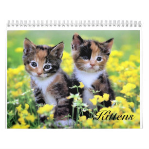 Cute Kitten Calendar