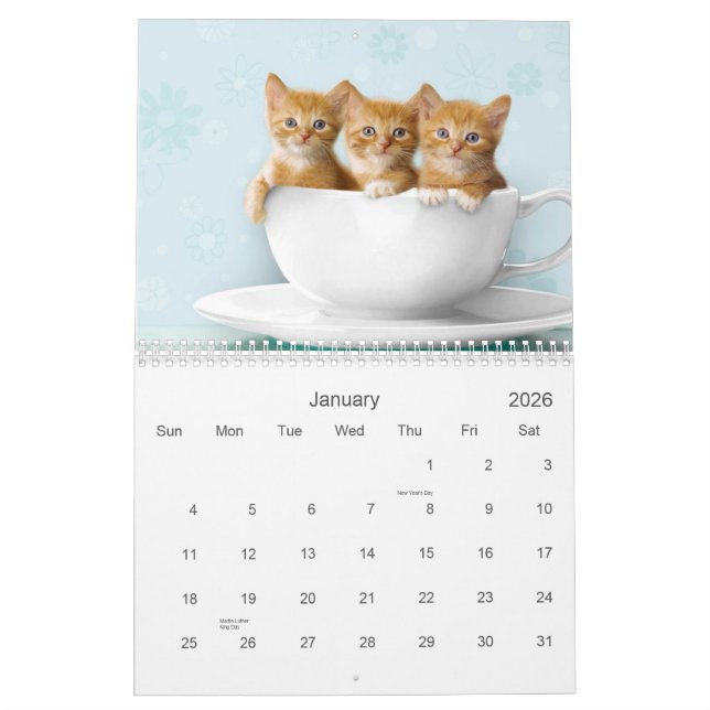 Cute Kitten Calendar (Jan 2026)