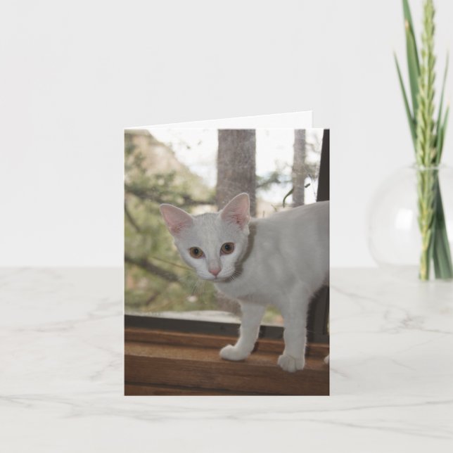 Cute Kitten Carte de remerciements (Devant)