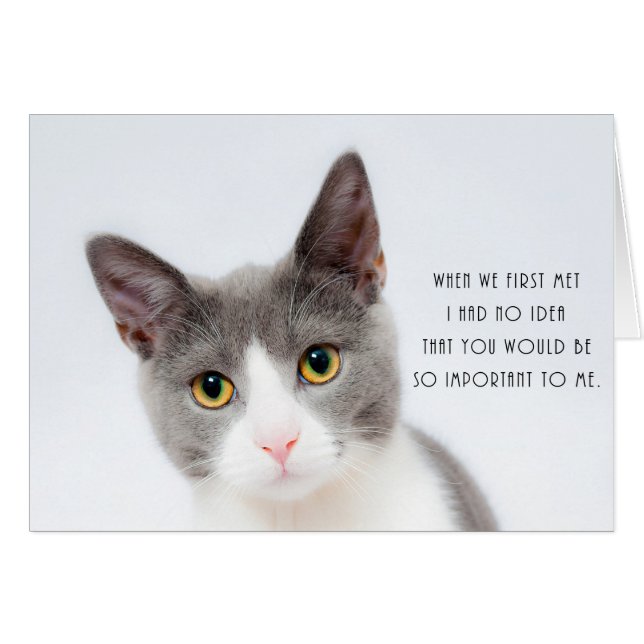 Cute Kitten Cat Romantic Love Birthday Card (Front Horizontal)
