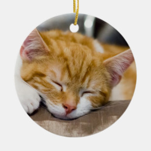 Cute Kitten Ceramic Ornament