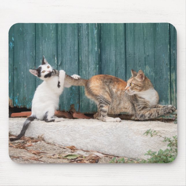 Cute Kitten Chasing Mom's Tail Funny Cat Photo Mouse Pad (Front)