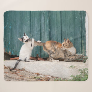 Cute Kitten Chasing Mom's Tail Funny Cat Photo - Sherpa Blanket