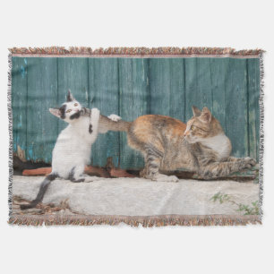Cute Kitten Chasing Mom's Tail Funny Cat Photo - Throw Blanket