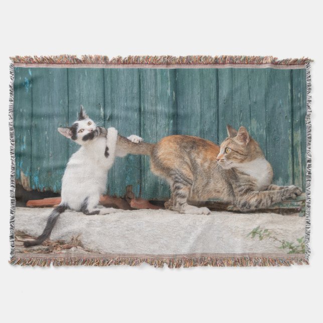 Cute Kitten Chasing Mom's Tail Funny Cat Photo - Throw Blanket (Front)