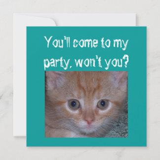 Cute Kitten - Child's Birthday Party Invitation