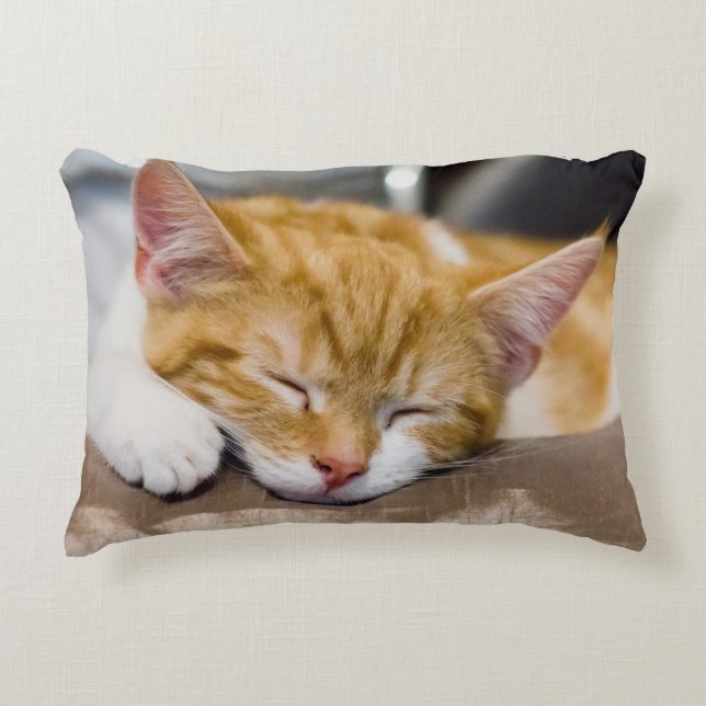 Cute Kitten Decorative Pillow (Front)