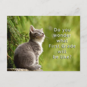 Cute Kitten Elementary Students Welcome Postcard