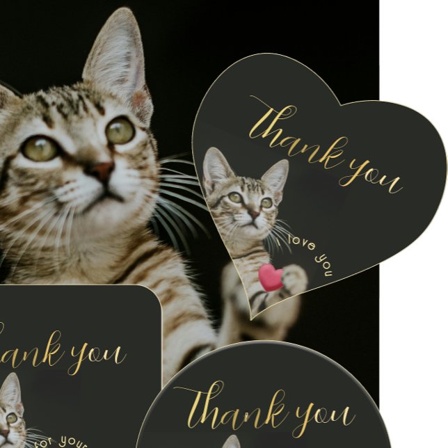 Cute Kitten I love you with Heart  Heart Sticker (Creator Uploaded)