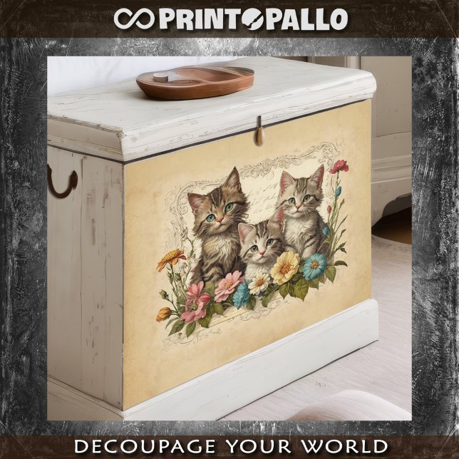 Cute kitten in flowers composition -  tissue paper (Creator Uploaded)