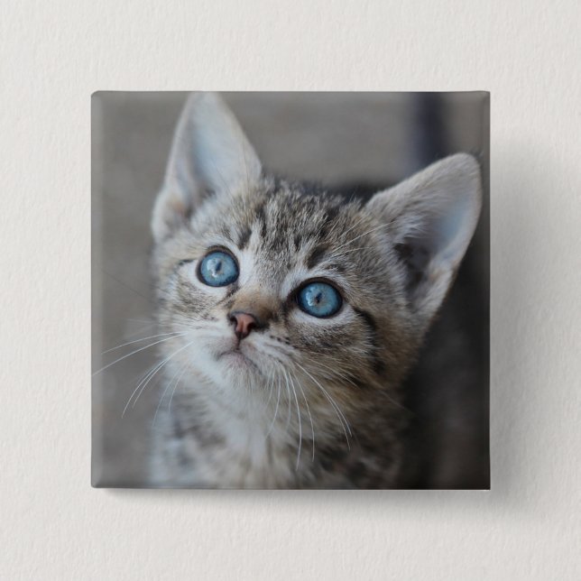 Cute Kitten In the Garden 2 Inch Square Button (Front)