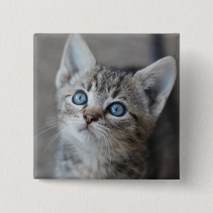 Cute Kitten In the Garden 2 Inch Square Button