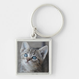 Cute Kitten In the Garden Keychain