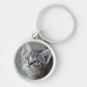 Cute Kitten In the Garden Keychain