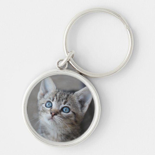 Cute Kitten In the Garden Keychain (Front)