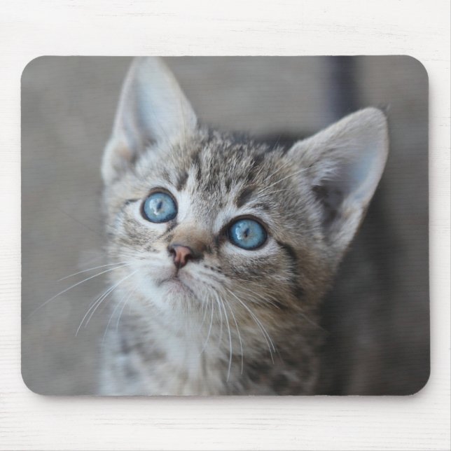 Cute Kitten In the Garden Mouse Pad (Front)