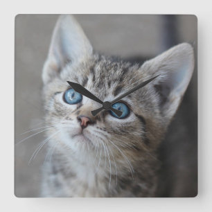 Cute Kitten In the Garden Square Wall Clock