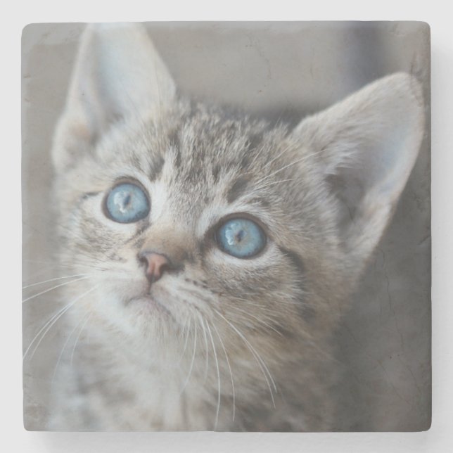 Cute Kitten In the Garden Stone Coaster (Front)