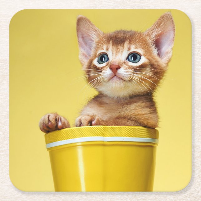 Cute kitten in yellow bucket square paper coaster (Front)