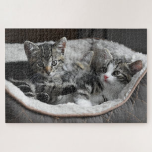 Cute Kitten Jigsaw Puzzle