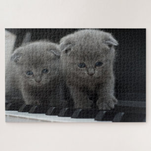 Cute Kitten Jigsaw Puzzle