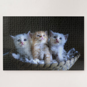 Cute Kitten Jigsaw Puzzle