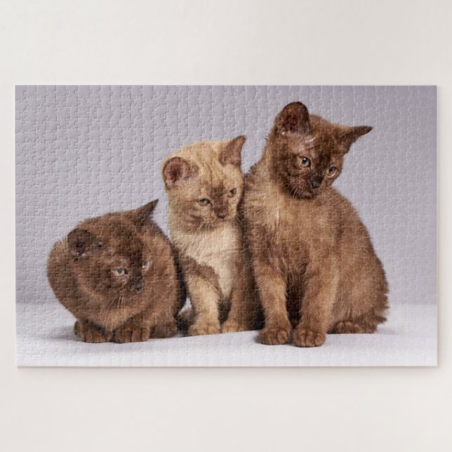 Cute Kitten Jigsaw Puzzle (Horizontal)