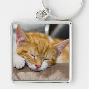 Cute Kitten Keychain