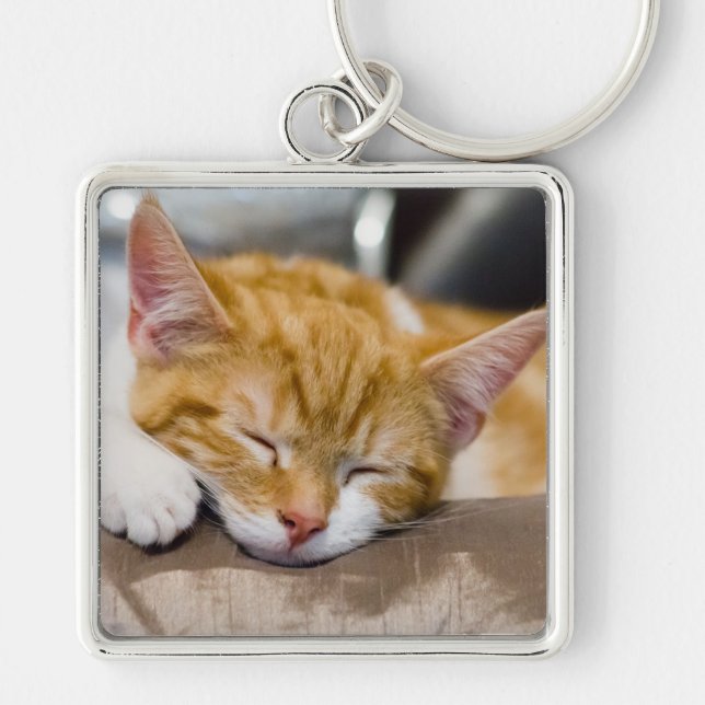 Cute Kitten Keychain (Front)