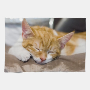 Cute Kitten Kitchen Towel