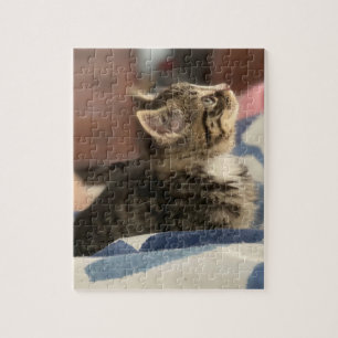Cute Kitten Leave this Pic or Add Your Own Photo Jigsaw Puzzle
