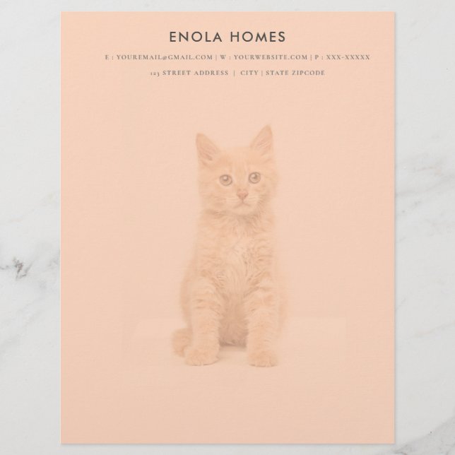 Cute kitten letterhead template (Front)