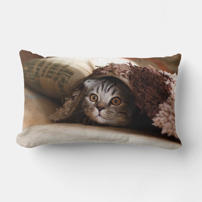 Cute kitten looking from sofa lumbar pillow (Front)