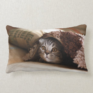 Cute kitten looking from sofa lumbar pillow